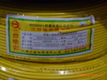 品牌連接未來，專業(yè)鑄就信賴——記上海市浦東新區(qū)三林鎮(zhèn)曉龍電線電纜經(jīng)營部